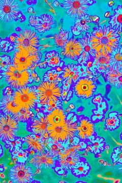 Bright psychedelic colored orange summer flowers pattern background 스톡 일러스트