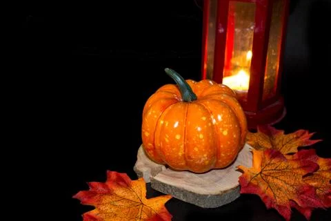 Bright pumpkin on a black background. Halloween and Thanksgiving traditional  Stock Photos