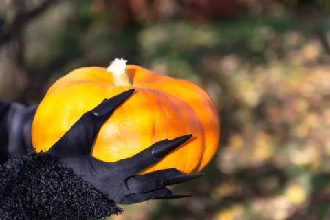 Bright pumpkin Stock Photos