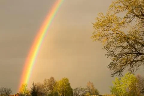 Bright rainbow close-up is on the background of the tops of yellow trees at s Stock Photos