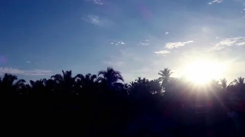 Bright rainbow spectrum sun light ray in morning sunrise blue sky Stock Footage 163637335