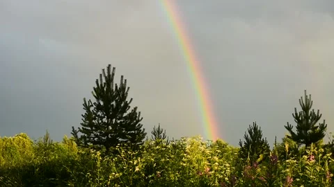 Bright rainbow on a summer evening Stock Footage 138395157