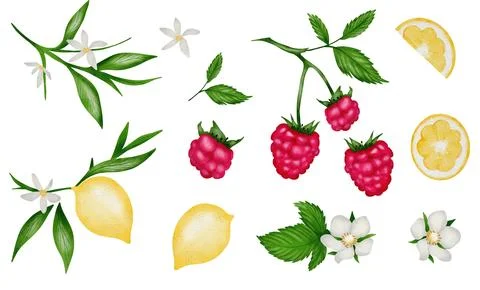 Bright raspberry and lemon summer set with flowers for seasonal decor Stock Illustration