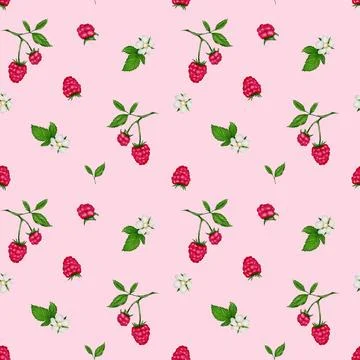 Bright raspberry pattern with delicate flowers on a soft pink background fo.. Stock Illustration