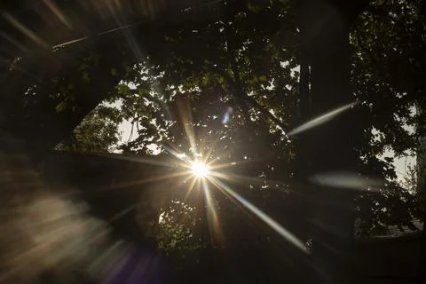 Bright rays of the sun. Sunlight through the foliage. Rays from the sun. Stock Photos