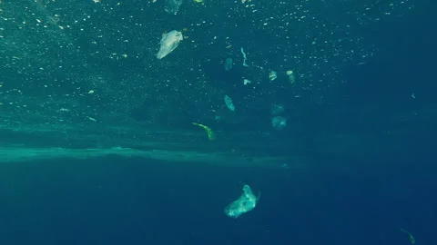 Bright rays of sunlight shining through oily water surface covered with plastic Stock Footage 336568372