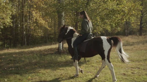 In the bright rays of the sunset, a young rider girl rides through the forest on Stock Footage 143933417