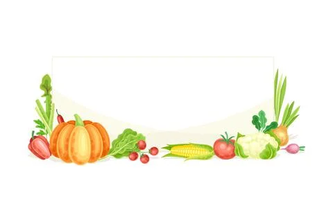 Bright Rectangular Vegetable Frame with Ripe and Fresh Garden Cultivar Closeup Stock Illustration