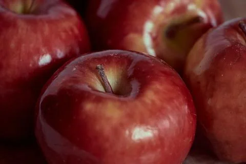 Bright red apples Stock Photos