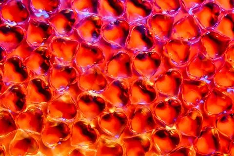 Bright red background Stock Photos