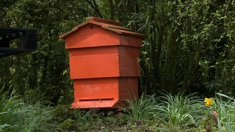 A bright red bee house Stock Footage 115888527