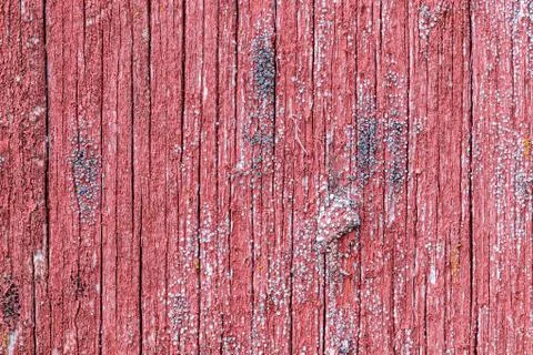 Bright red board wall with small mold growing Stock Photos