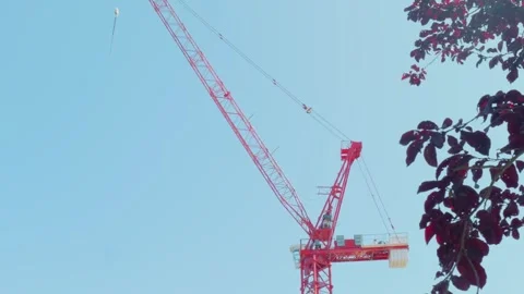 Bright red construction crane set against a clear blue sky framed by leaves Stock Footage 312250672