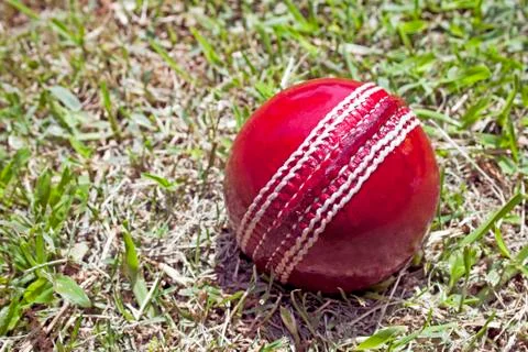 Bright red cricket ball on patchy grass lawn Stock Photos
