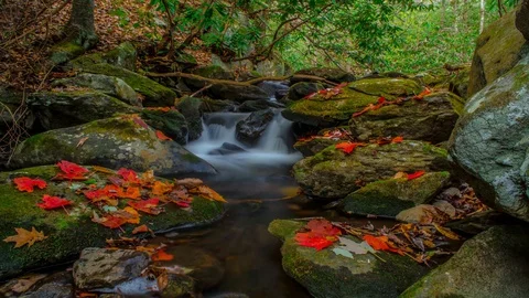 Bright Red fall Foliage of Autumn on a Calm Tranquil Stream Time Lapse 4K Stock Footage 129352495