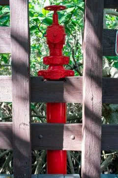 A Bright Red Fire Hydrant on a Boardwalk in a Lush Forest Foto stock