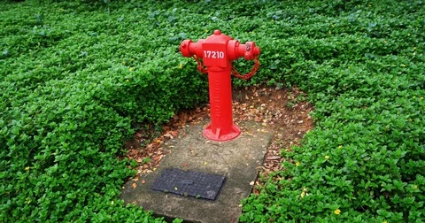 Bright Red Fire Hydrant in Singapore Park. 4k video Vidéo 76024552
