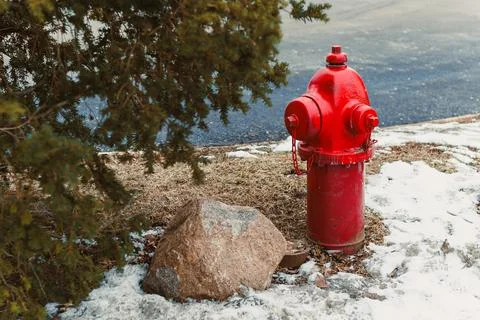 Bright red fire hydrant stands next to a large rock and a tree near a froze.. Stock Photos