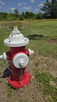 Bright red fire hydrant surrounded by green grass under a sunny sky, showca.. Stock Photos
