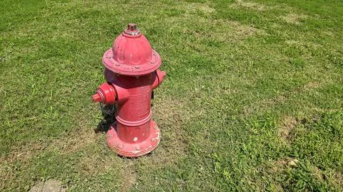 Bright red fire hydrant surrounded by green grass under a sunny sky, showca.. Stock Photos