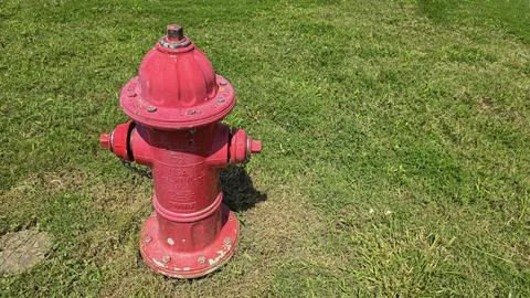 Bright red fire hydrant surrounded by green grass under a sunny sky, showca.. Stock Photos