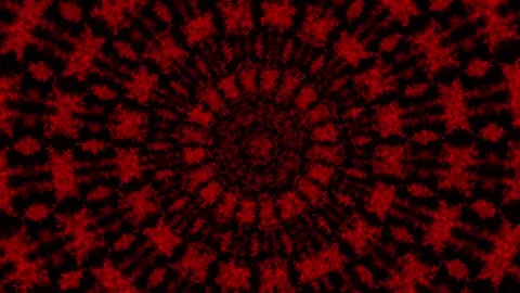 Bright Red Firework Explosion in Night Sky with Radiating Patterns Video stock 337956376