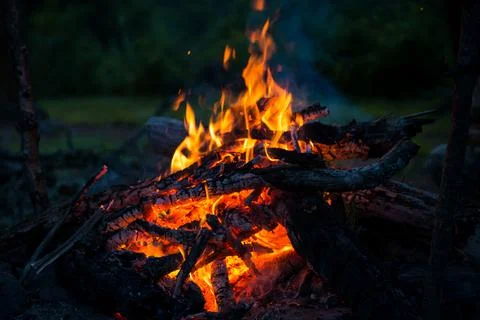Bright red flame of a campfire in the forests of Altai Stock Photos