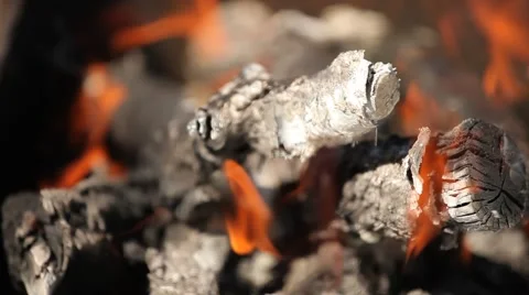 Bright red flames burning branches, close-up Stock Footage 66064027