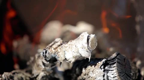 Bright red flames burning branches, close-up Stock Footage 66064052