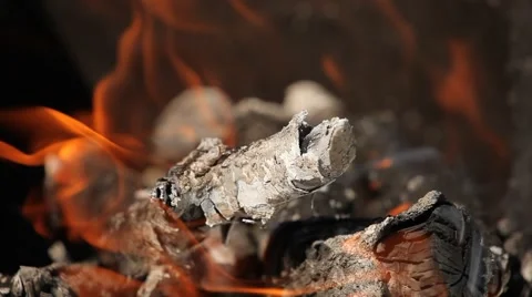 Bright red flames burning branches, close-up Stock Footage 66064125