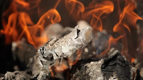 Bright red flames burning branches, close-up Stock Footage 66064132