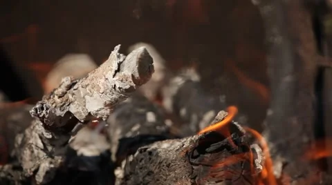 Bright red flames burning branches, close-up Stock Footage 66064244