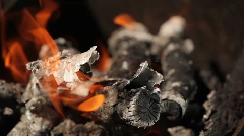 Bright red flames burning branches, close-up Stock Footage 66064300