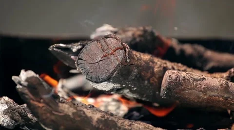 Bright red flames burning branches, close-up Stock Footage 66064346