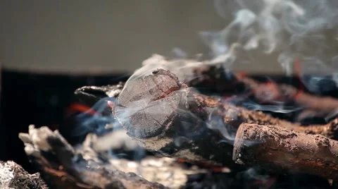 Bright red flames burning branches, close-up Stock Footage 66064384