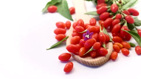 Bright red goji berries with leaves on clean white background Stock Footage 346547845