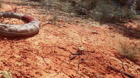 Bright red ground with a life ring in a dry area in the afternoon sun Stock Footage 348558160