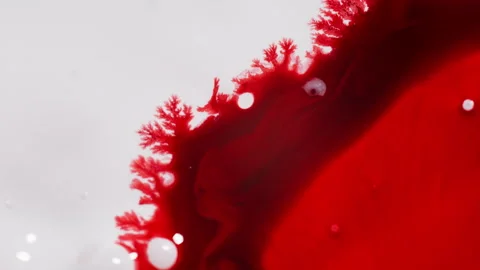 Bright Red Ink Diffusing In Liquid, Forming Branching, Coral-like Patterns Stock Footage 316594737