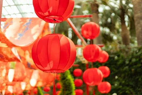 Bright red lanterns are seen hanging in a garden. They are part of a festiv.. Stock Photos