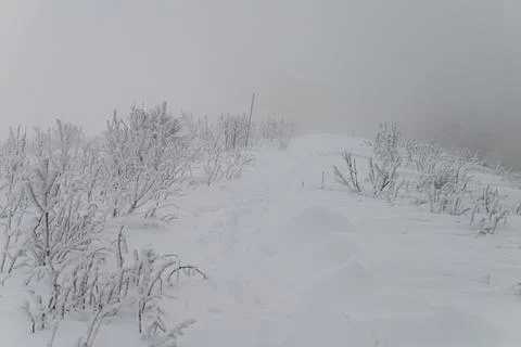 A bright red mountain trail marker stands in deep snow and thick fog, guidi.. 스톡 사진