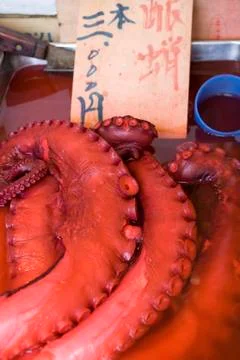 Bright red octopus tentacles Stock Photos