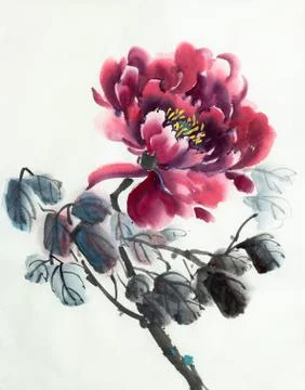 Bright red peony Stock Illustration