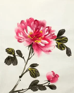 Bright red peony Stock Illustration