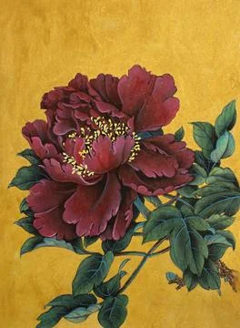 Bright red peony Stock Illustration