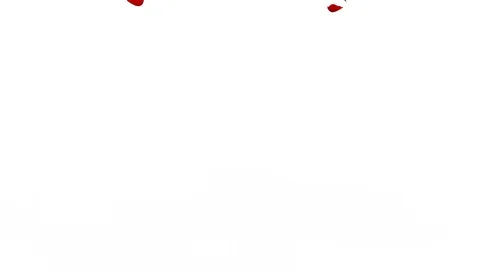 The bright red petals of roses falling down on white floor Stock Footage 103175830
