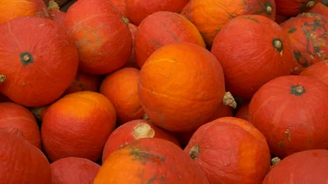 Bright Red Pumpkins with Natural Texture Stock Footage 330186869