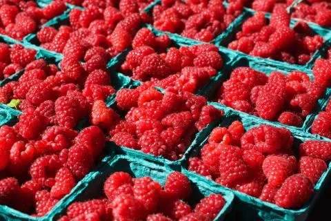 Bright red raspberries Stock Photos