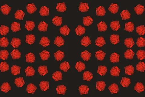 Bright red roses pattern on dark for design Stock Illustration