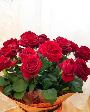Bright red roses on a white background Stock Photos