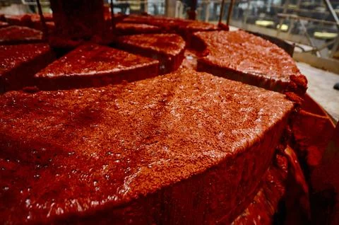Bright red solid residual of sylvinite in floatation bath Stock Photos